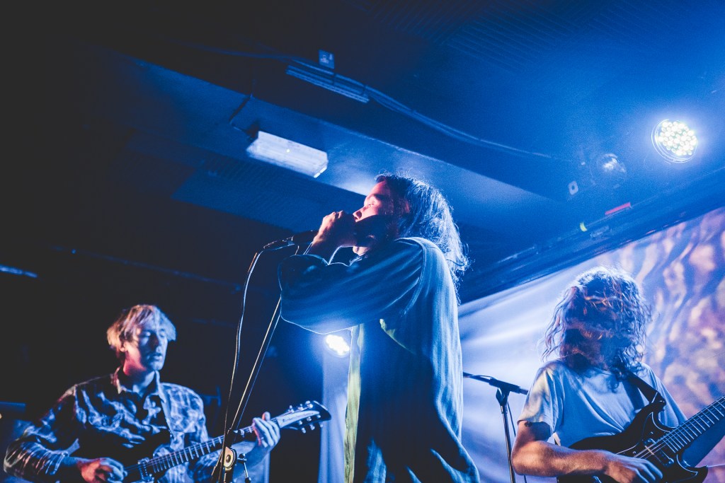 King Gizzard and The Lizard Wizard par Paul Hudson