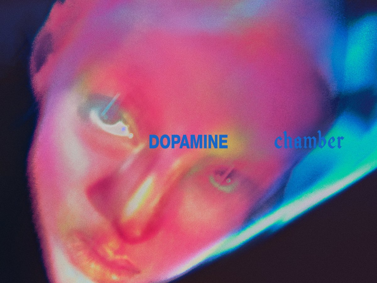 Fontaines D.C. : notre avis sur Dopamine&nbsp;Chamber