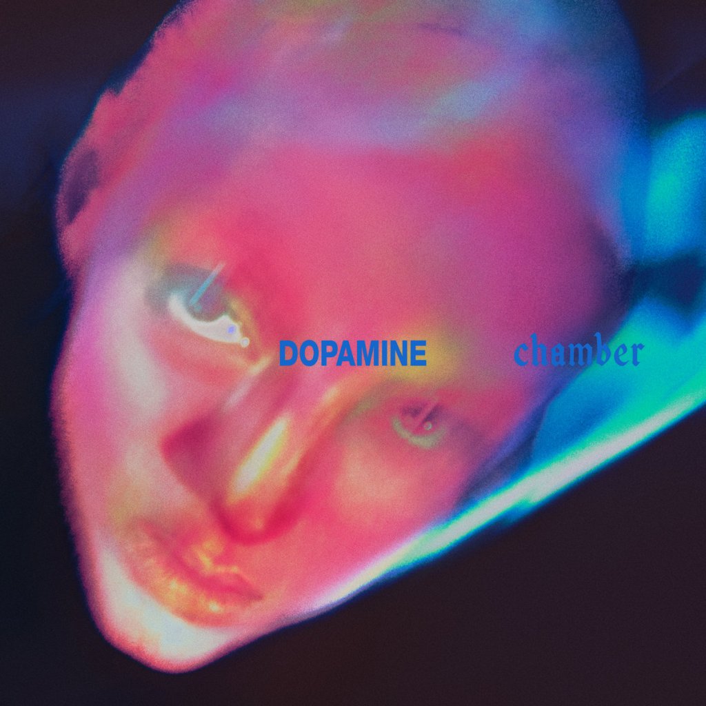 Fontaines_DC_-_Dopamine_Chamber